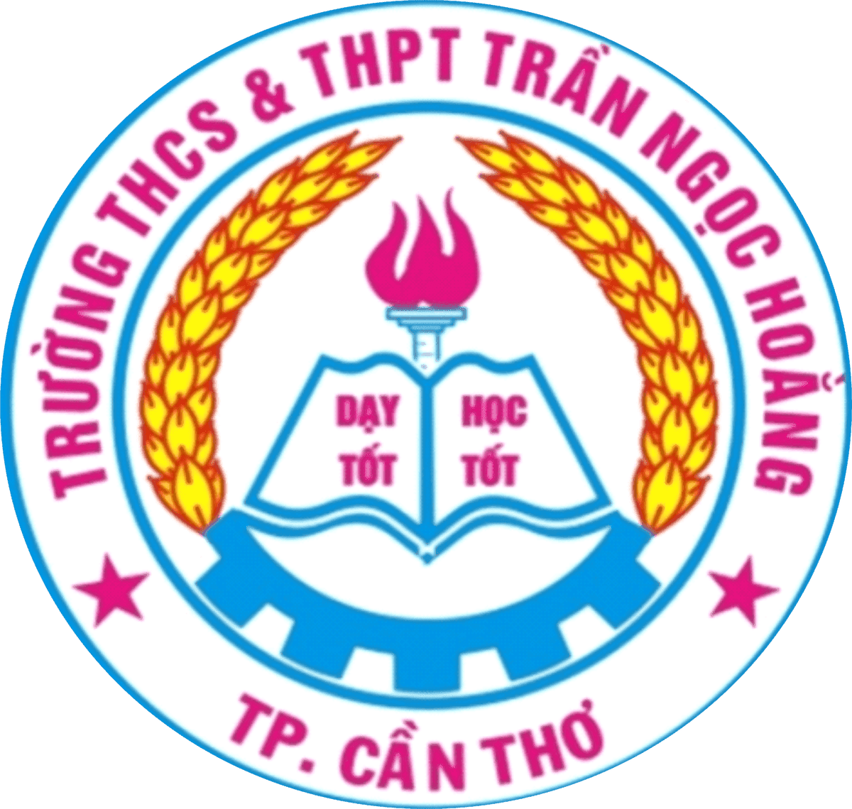 Tran Ngoc Hoang Secondary & High School logo